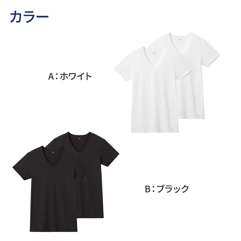 グンゼ YG tシャツ メンズ 半袖 vネック 鹿の子 抗菌 防臭 2枚組 M L LL 吸汗速乾 v首 GUNZE インナーシャツ 男性 紳士 下着 肌着 インナー ニオイ対策 夏 スーツ下 ビジネス ビジネスインナー オールシーズン