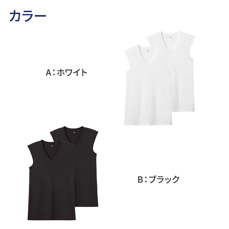 グンゼ YG ノースリーブ スリーブレス tシャツ メンズ vネック 鹿の子 抗菌 防臭 2枚組 M L LL タンクトップ 吸汗速乾 v首 GUNZE インナーシャツ 男性 紳士 下着 肌着 インナー ニオイ対策 夏 スーツ下 ビジネス ビジネスインナー オールシーズン