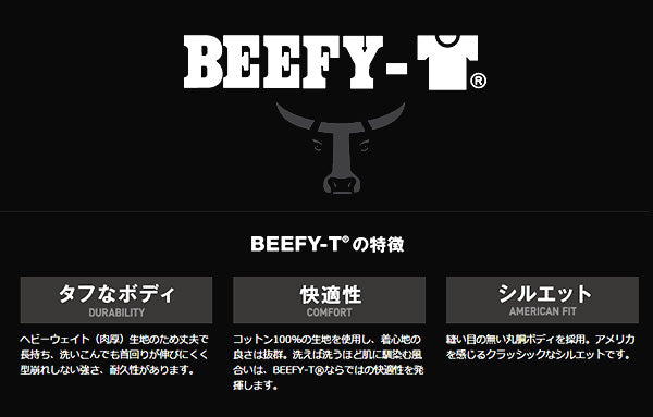 ビーフィー ヘインズ tシャツ メンズ 半袖 綿100% S~XL Hanes Tシャツ 無地 肌着 下着 綿 コットン インナー 男性 hanes パックT S M L XL