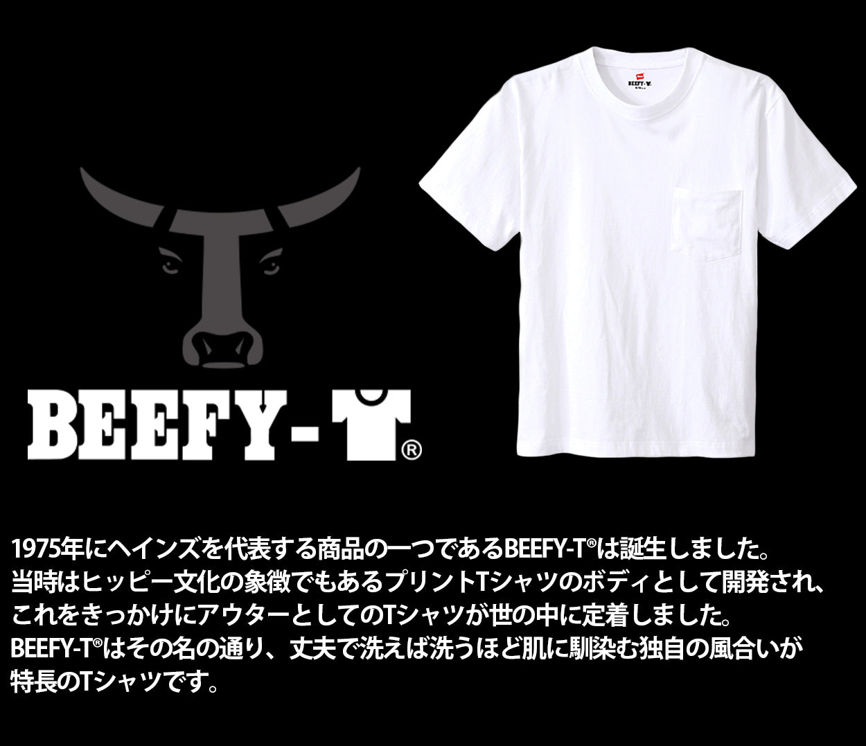 ヘインズ ビーフィー tシャツ ポケット メンズ 半袖 S~XL ビーフィーT BEEFY-T Tシャツ コットン トップス シャツ インナー 丸首 クルーネック 綿100 Hanes パックT