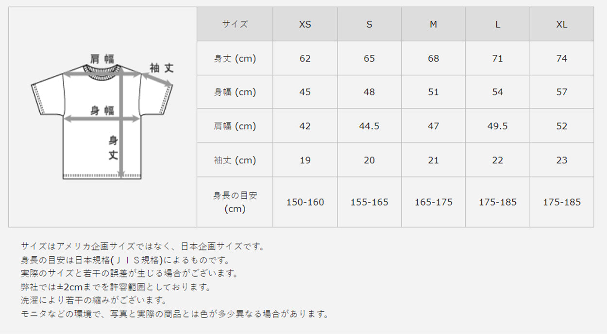 ヘインズ ビーフィー tシャツ ポケット メンズ 半袖 S~XL ビーフィーT BEEFY-T Tシャツ コットン トップス シャツ インナー 丸首 クルーネック 綿100 Hanes パックT