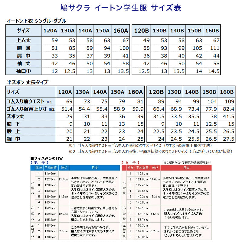 小学生 男子 制服 上下セット 半ズボン 紺 洗える 撥水 形態安定 ウエストゴム A体 140cmA~160cmA 子供 小学校 男の子 学生服 パンツ丈長め 丈夫 イートン 鳩サクラ (送料無料) (取寄せ)