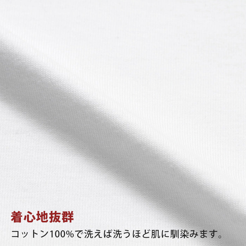 ヘインズ ビーフィー Tシャツ 大きいサイズ メンズ hanes beefy XXL・3XL Hanes 綿100% インナー 半袖 無地 肌着 下着 綿 コットン 男性 大寸 XXL 3XL パックT
