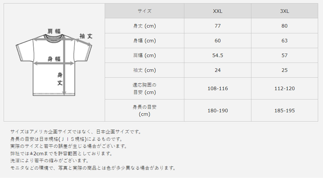ヘインズ ビーフィー Tシャツ 大きいサイズ メンズ hanes beefy XXL・3XL Hanes 綿100% インナー 半袖 無地 肌着 下着 綿 コットン 男性 大寸 XXL 3XL パックT