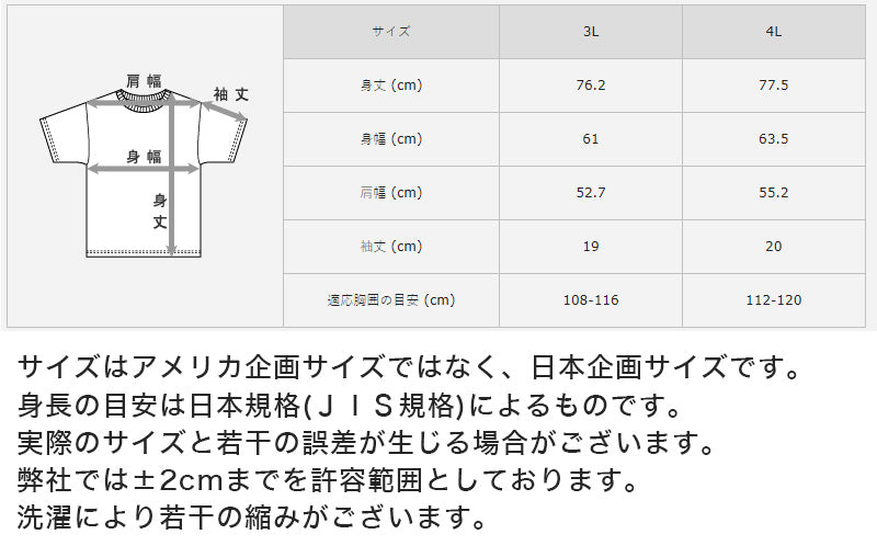 ヘインズ メンズ VネックTシャツ 3枚組 BIG 3L・4L (Hanes Global Value Line 綿100 インナー アンダーウェア 肌着 下着)