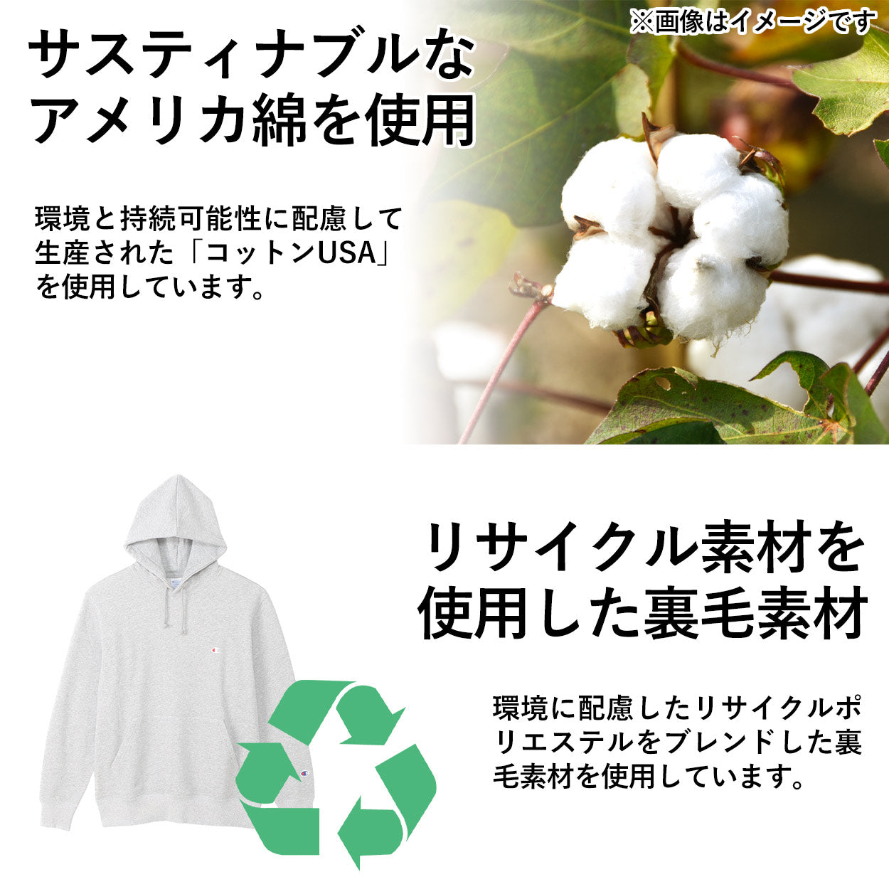 チャンピオン パーカー メンズ スウェット プルオーバー シンプル 定番 M~XXL (Champion 男性 2L 3L 大きいサイズ スウェットパーカー アメカジ 長袖 フード付き 綿混) (送料無料) (在庫限り)