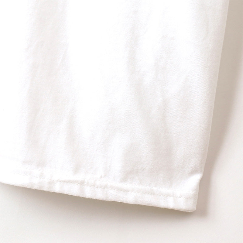 メンズ 半袖 シャツ tシャツ Vネック Hanes ビジカジ魂 2枚組 M~LL (V首 ヘインズ 綿100% Tシャツ 白 黒 無地 カジュアル HANES) (在庫限り)