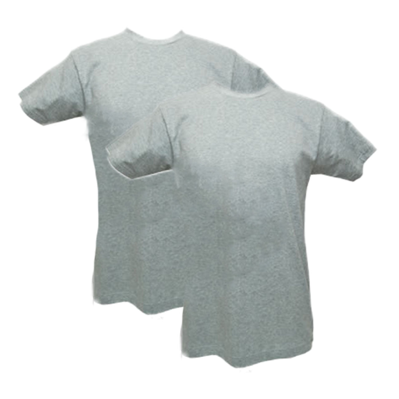 グンゼ Tシャツ メンズ 半袖 綿100% 2枚組 M~LL (下着 シャツ 綿 肌着 インナーシャツ クルーネック インナー 無地 GTホーキンス)