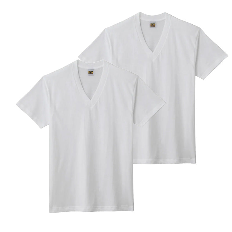 グンゼ 綿100% メンズ インナー 半袖 Vネック Tシャツ 2枚組 M~LL GUNZE GTホーキンス 下着 インナーシャツ tシャツ 男性 紳士 V首 肌着 インナー M L LL