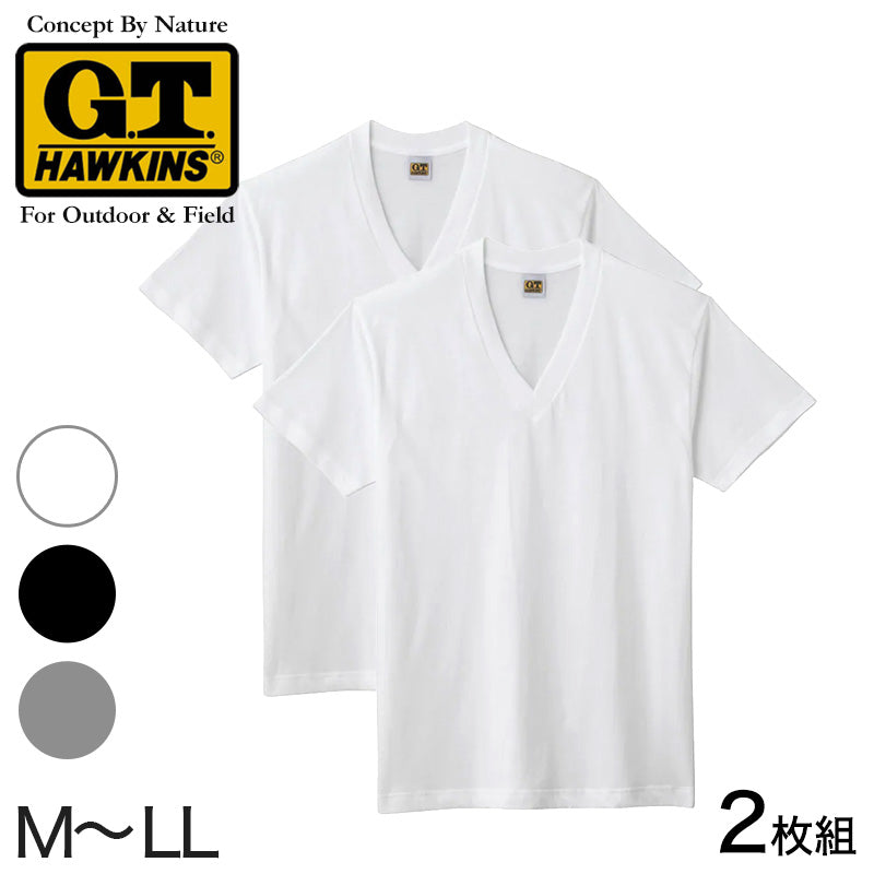 グンゼ 綿100% メンズ インナー 半袖 Vネック Tシャツ 2枚組 M~LL GUNZE GTホーキンス 下着 インナーシャツ tシャツ 男性 紳士 V首 肌着 インナー M L LL