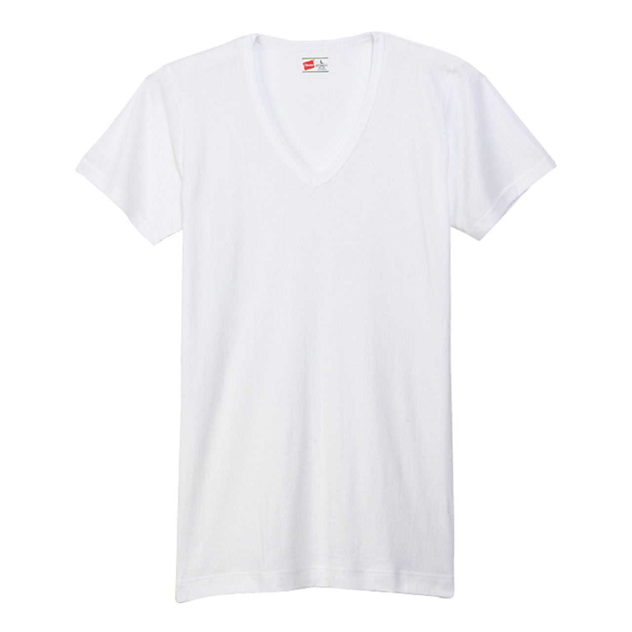ヘインズ シャツ メンズ Vネック Tシャツ 2枚組 ビズ魂 3L~5L (Hanes 男性 紳士 抗菌防臭 吸汗速乾 V首 半袖 長め丈 大きいサイズ 大きめ 3L 4L 5L) (在庫限り)