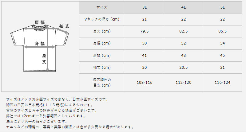 ヘインズ シャツ メンズ Vネック Tシャツ 2枚組 ビズ魂 3L~5L (Hanes 男性 紳士 抗菌防臭 吸汗速乾 V首 半袖 長め丈 大きいサイズ 大きめ 3L 4L 5L) (在庫限り)