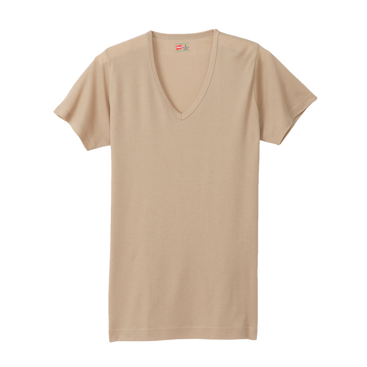 ヘインズ シャツ メンズ Vネック Tシャツ 2枚組 ビズ魂 3L~5L (Hanes 男性 紳士 抗菌防臭 吸汗速乾 V首 半袖 長め丈 大きいサイズ 大きめ 3L 4L 5L) (在庫限り)