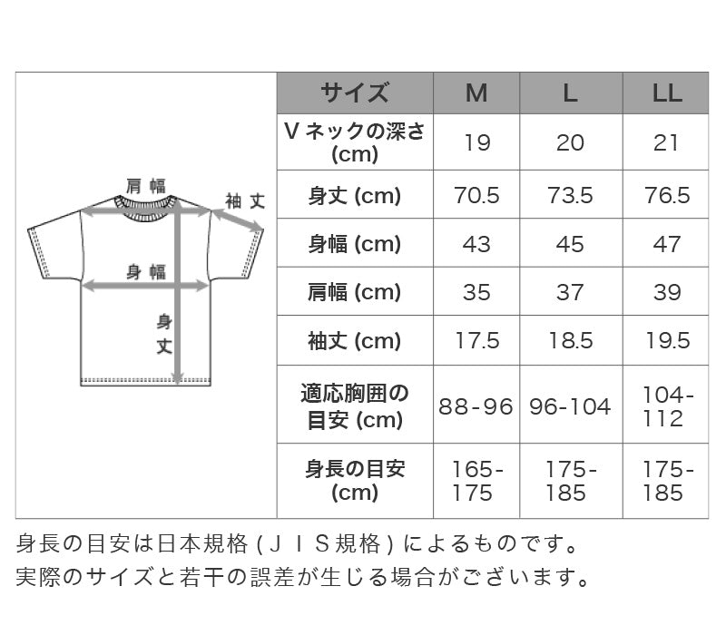 ヘインズ シャツ ビズ魂 メンズ 深Vネック Tシャツ 2枚組 M~LL (Hanes BIZ DAMASHII 抗菌防臭 吸汗速乾 深V 長め丈) (在庫限り)