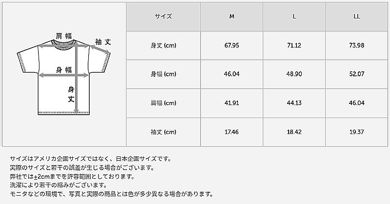 ヘインズ クルーネック Tシャツ メッシュ 2枚組 M~LL Hanes メンズ 下着 肌着 tシャツ シャツ インナー 半袖 丸首 速乾 スポーツ M L LL