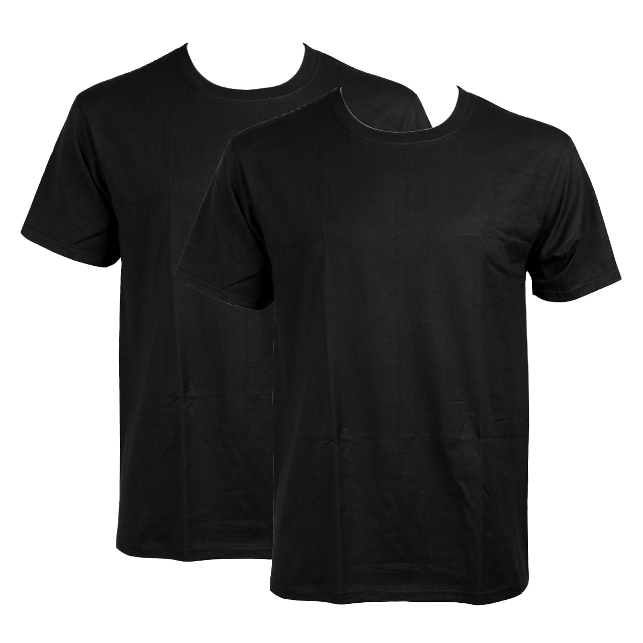 ヘインズ ビジカジ魂 クルーネックTシャツ 2枚組 M~LL (Hanes BIZICAZI DAMASHII メンズ 綿100% 白 黒) (在庫限り)