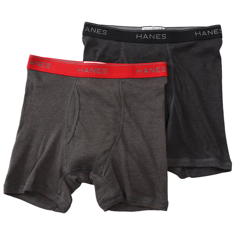 ヘインズ ボクサーパンツ メンズ 前開き 2枚組 M~LL 下着 綿 ボクサーブリーフ HANES パンツ 男性 hanes ボクサー 2枚セット 高校生 中学生 M L LL インナー