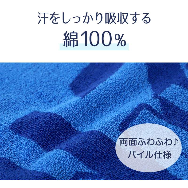 フェイスタオル ブランド タオル スポーツ コンバース ミズノ 綿100% 約34×80cm スポーツタオル 部活 卒業祝い 入学祝い 贈り物 ロゴ スポーツブランド