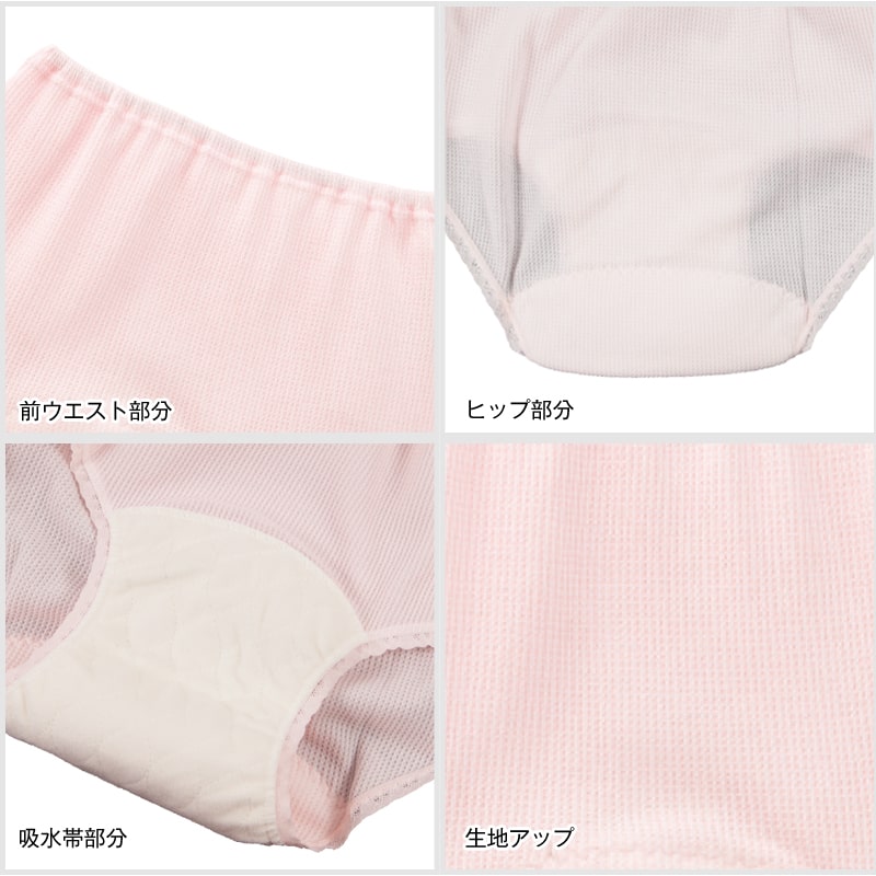 Suteteko 婦人 50cc対応 安心快適ショーツ M~LL (中失禁 尿漏れ レディース パンティー 失禁パンツ 失禁ショーツ 吸水) (取寄せ)