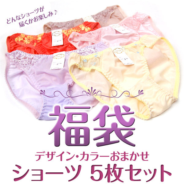 ショーツ レディース セット おまかせ 福袋 5枚セット M~LL (下着 パンツ トリコットショーツ 薄い 薄手 インナー) (在庫限り)