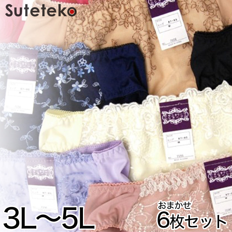 レディース デザインおまかせ サニタリーショーツ 6枚セット 3L~5L (レディース パンツ 大きいサイズあり 福袋) (在庫限り)
