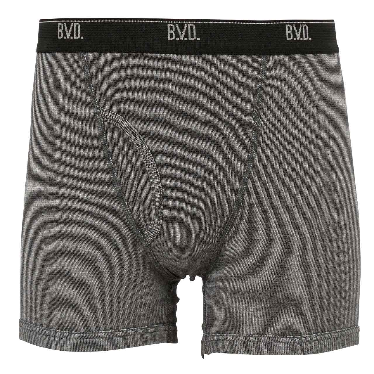 BVD ボクサーパンツ メンズ ボクサーブリーフ 前あき 2枚組 M~LL bvd 下着 パンツ 男性 吸汗 速乾 インナー セット アンダーウェアー 肌着 M L LL