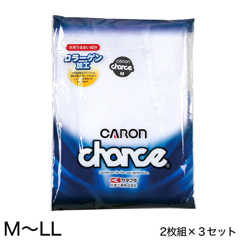 メンズ ブリーフパンツ 綿100% 下着 2枚組×3セット M~LL (ブリーフ パンツ 肌着 紳士肌着 インナー インナーウェアー 男性 紳士 CARON キャロン M L LL) (取寄せ)