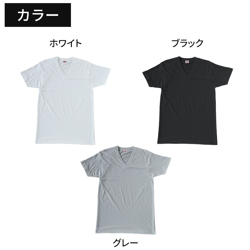 bvd tシャツ ゴールド 綿100 vネック メンズ LL v首 BVD インナー シャツ 肌着 下着 半袖 コットン シンプル 無地 白 黒 グレー
