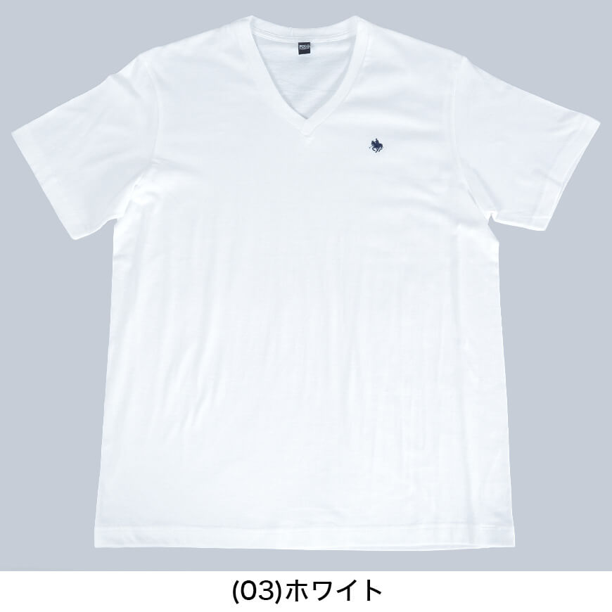 グンゼ インナー メンズ 綿100% 半袖 vネック Tシャツ POLO M~LL tシャツ シャツ 綿 下着 インナーシャツ V首 トップス 肌着 ポロ