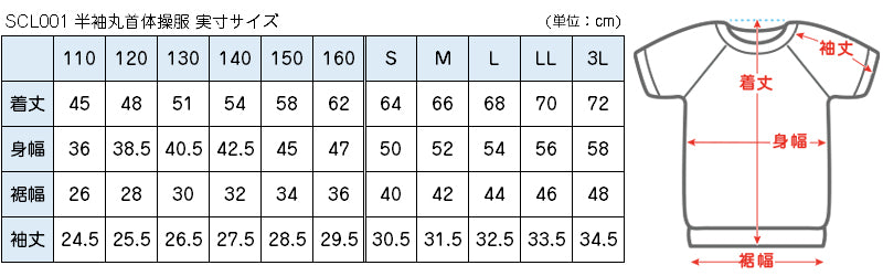 体操服 半袖 体操着 小学校 小学生 白 男子 女子 110~160cm 半そで 女の子 男の子 速乾 子供 キッズ 綿 運動着 体育 110 120 130 140 150 160 (送料無料) (在庫限り)