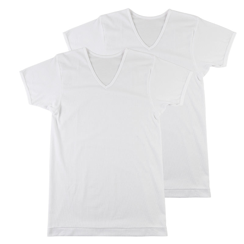 tシャツ v首 シャツ メンズ 半袖 2枚組 吸汗速乾 M L LL vネック カノコ 肌着 下着 インナー 綿混 無地 ホワイト 白 プレゼント ギフト 父の日 敬老の日 (在庫限り)