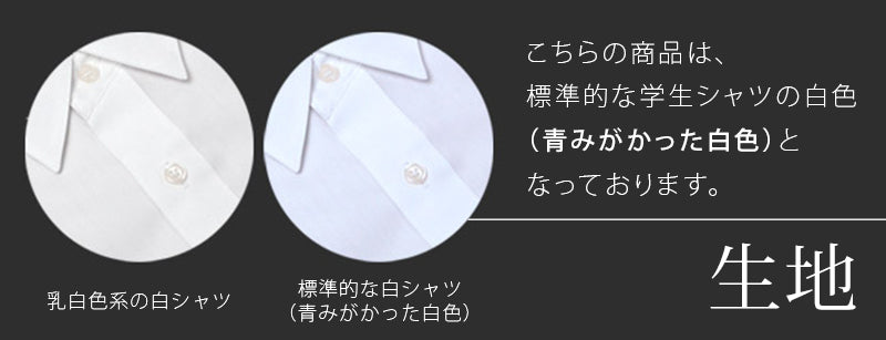 学生服 シャツ 男子 開襟シャツ 半袖 110cmA~180cmB (スクールシャツ 小学生 中学生 高校生 制服 学生 半袖シャツ 110 120 130 140 150 160 170 180) (取寄せ)