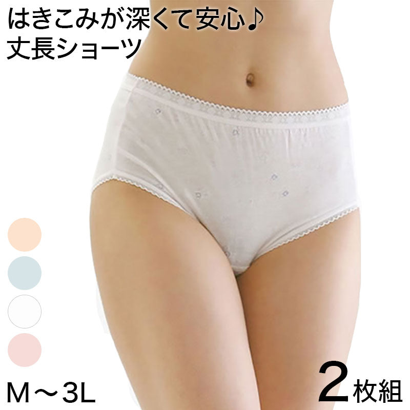 丈長プリントショーツ 2枚組 M~3L (レディース インナー 下着 パンツ) (在庫限り)