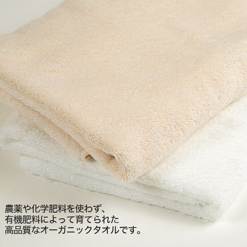 800匁 オーガニックコットンバスタオル 12枚組 約60cm×120cm (無地タオル 無農薬 コットン) (送料無料) (在庫限り)