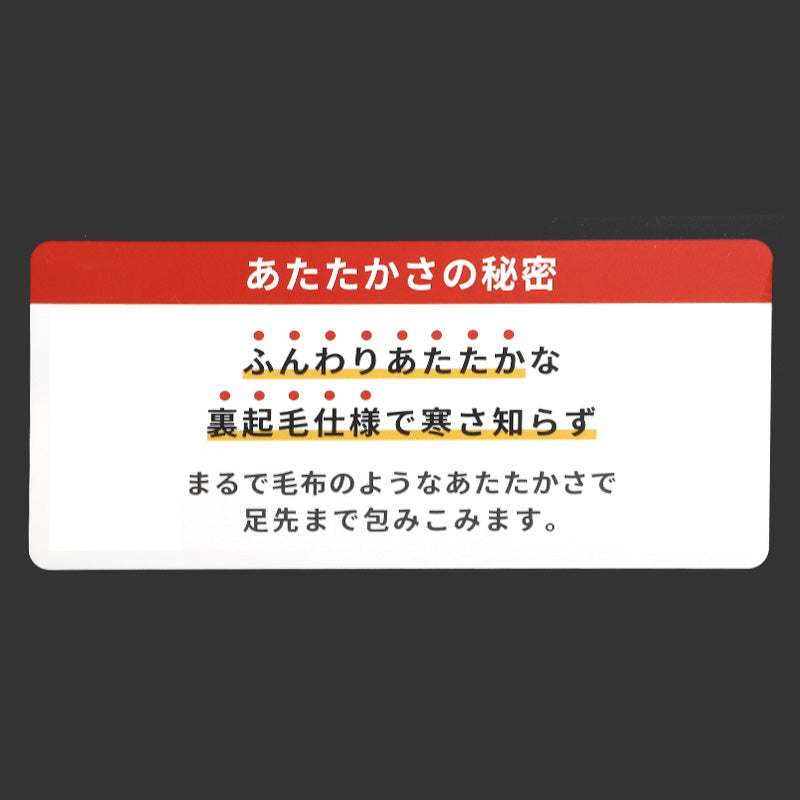 裏起毛 タイツ あったか 足先まで 黒 150デニール レディース M-L 厚手 防寒 温かい 暖かい あったかい 厚い 冬用 裏 起毛 (在庫限り)