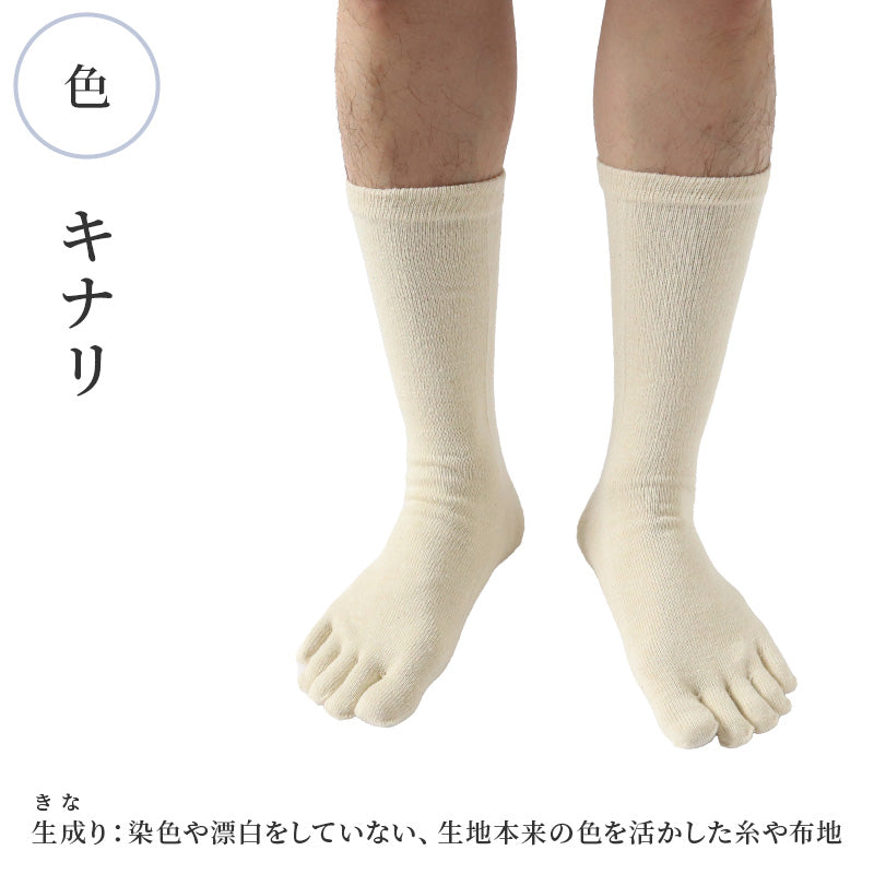 ヘンプ 麻 靴下 5本指 ソックス メンズ レギュラー丈 日本製 24-27cm 奈良 通気性 丈夫 涼しい 蒸れない 吸湿性 防臭 さらさら サラサラ ユニセックス レディース アウトドア 24cm 25cm 26cm 27cm