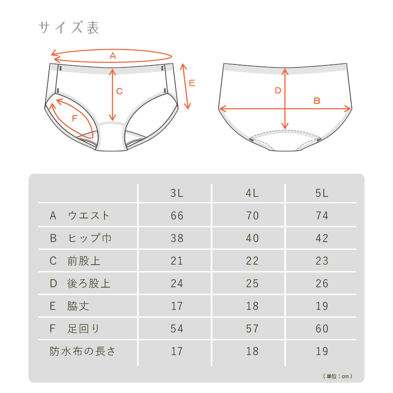 Suteteko レディース シームレスサニタリーショーツ 昼用 3L~5L (大きなサイズ 綿ベア天 生理用ショーツ 生理ショーツ 吸水速乾加工 羽つきナプキン対応 切りっぱなし 綿混ストレッチ) (在庫限り)