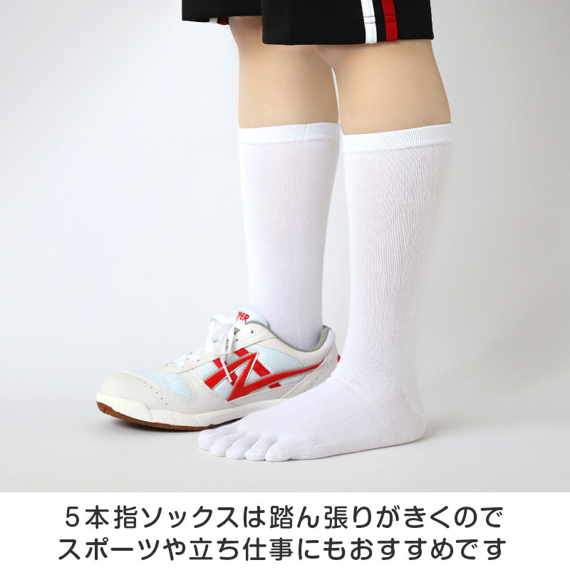 5本指ソックス レディース メンズ ハイクルー 薄手 靴下 22-24cm~28-30cm 5本指 ソックス 夏用 蒸れない 5本指靴下 五本指ソックス ハイソックス ユニセックス 大きいサイズ