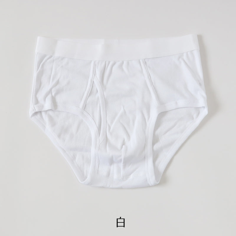 ブリーフ メンズ 綿100% パンツ スタンダード 前開き S~LL 下着 インナー ブリーフパンツ 肌着 紳士肌着 男性 紳士 パンツ 綿100% コットン M L LL