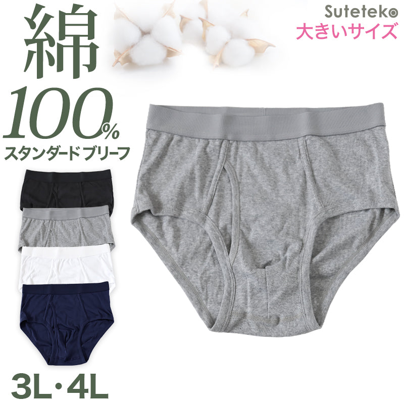 ブリーフ メンズ パンツ 綿100% スタンダード 前開き 3L・4L 大きいサイズ インナー ブリーフパンツ 下着 肌着 紳士肌着 男性 紳士 パンツ 綿100% コットン 3L 4L