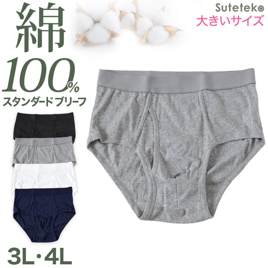 ブリーフ メンズ パンツ 綿100% スタンダード 前開き 3L・4L 大きいサイズ インナー ブリーフパンツ 下着 肌着 紳士肌着 男性 紳士 パンツ 綿100% コットン 3L 4L