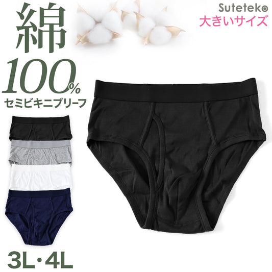 メンズ パンツ 綿100% セミビキニブリーフ 大きいサイズ 前開き 3L・4L 下着 ブリーフパンツ インナー 肌着 紳士肌着 男性 紳士 パンツ 綿100% コットン 3L 4L