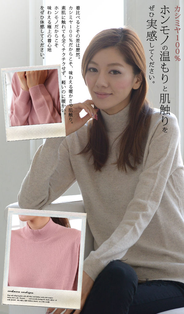 アルカディアルカ カシミヤ100% ハイネック セーター レディース M~3L (カシミア カシミア100% ニット 薄手 暖かい プレゼント 誕生日 防寒 秋冬 大きいサイズ トップス) (送料無料) 【在庫限り】