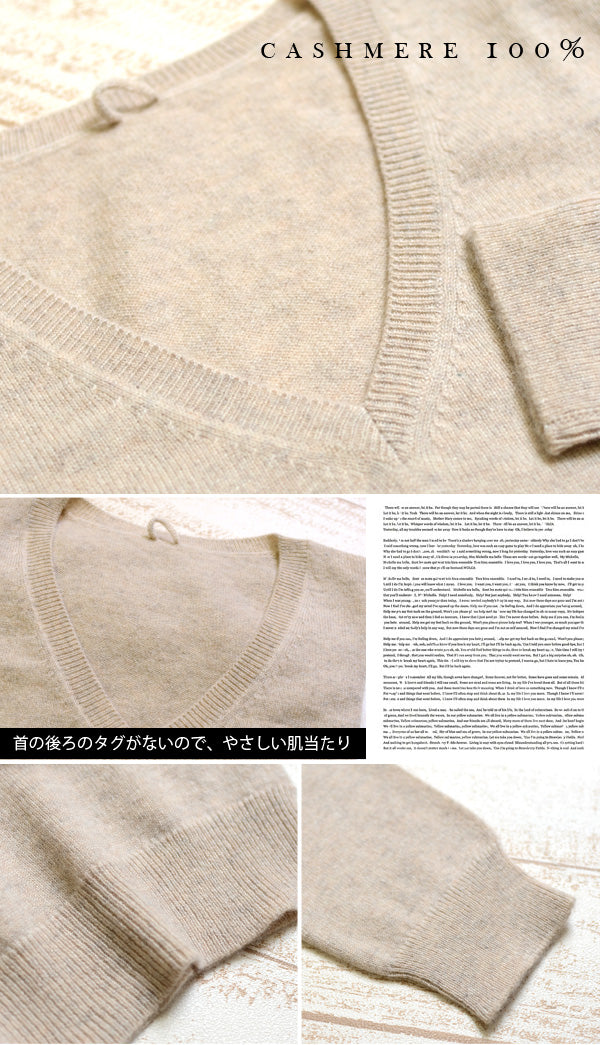 アルカディアルカ レディース 長袖 Vネックセーター M~3L (カシミア カシミア100% vネック Vネック きれいめ オフィス カジュアル スクール トップス 大きいサイズ プルオーバー 秋冬) (送料無料) (在庫限り)