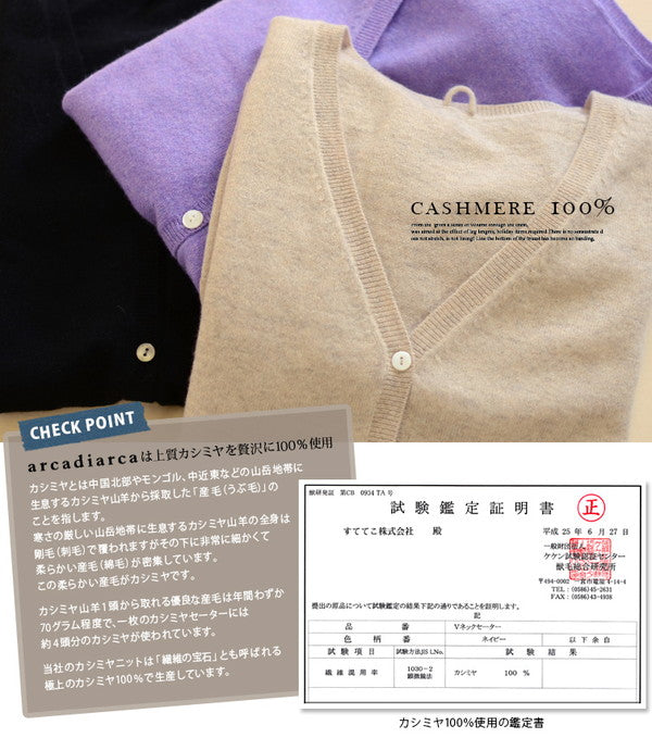 アルカディアルカ レディース 長袖 Vネックセーター M~3L (カシミア カシミア100% vネック Vネック きれいめ オフィス カジュアル スクール トップス 大きいサイズ プルオーバー 秋冬) (送料無料) (在庫限り)