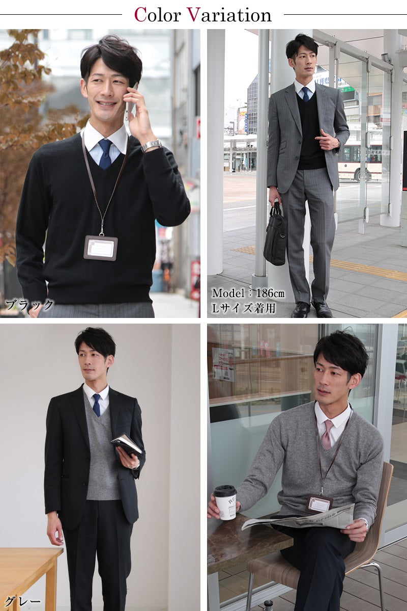 カシミヤ100% Vネック セーター メンズ M~5L (カシミヤ カシミア セーター 男 ニット vネック V首 カシミヤ100 カシミア100% 無地 防寒 大きいサイズ ギフト プレゼント arcadiarca) (送料無料) 【在庫限り】