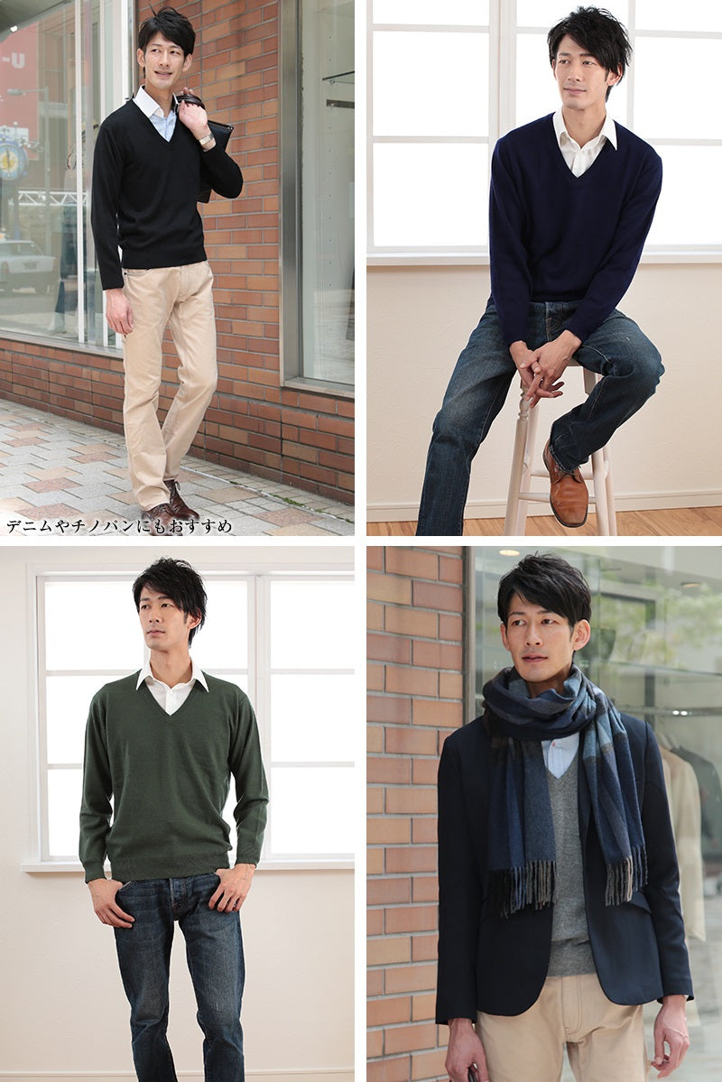 カシミヤ100% Vネック セーター メンズ M~5L (カシミヤ カシミア セーター 男 ニット vネック V首 カシミヤ100 カシミア100% 無地 防寒 大きいサイズ ギフト プレゼント arcadiarca) (送料無料) 【在庫限り】