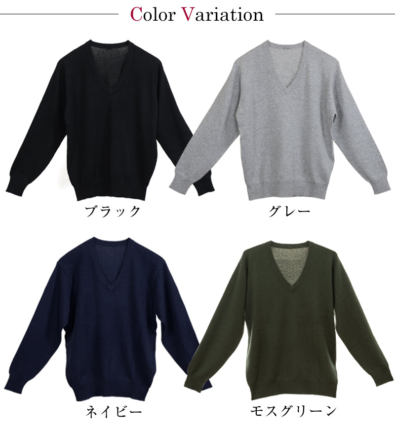 カシミヤ100% Vネック セーター メンズ M~5L (カシミヤ カシミア セーター 男 ニット vネック V首 カシミヤ100 カシミア100% 無地 防寒 大きいサイズ ギフト プレゼント arcadiarca) (送料無料) 【在庫限り】