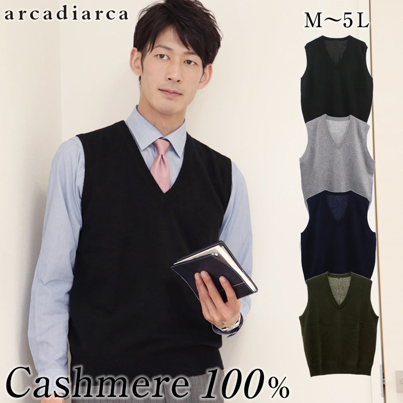 カシミヤ100% Vネックベスト メンズ M~5L (カシミヤ カシミア セーター 男 ニット ベスト カシミヤ100 カシミア100% 無地 防寒 大きいサイズ ギフト プレゼント arcadiarca) (送料無料) 【在庫限り】
