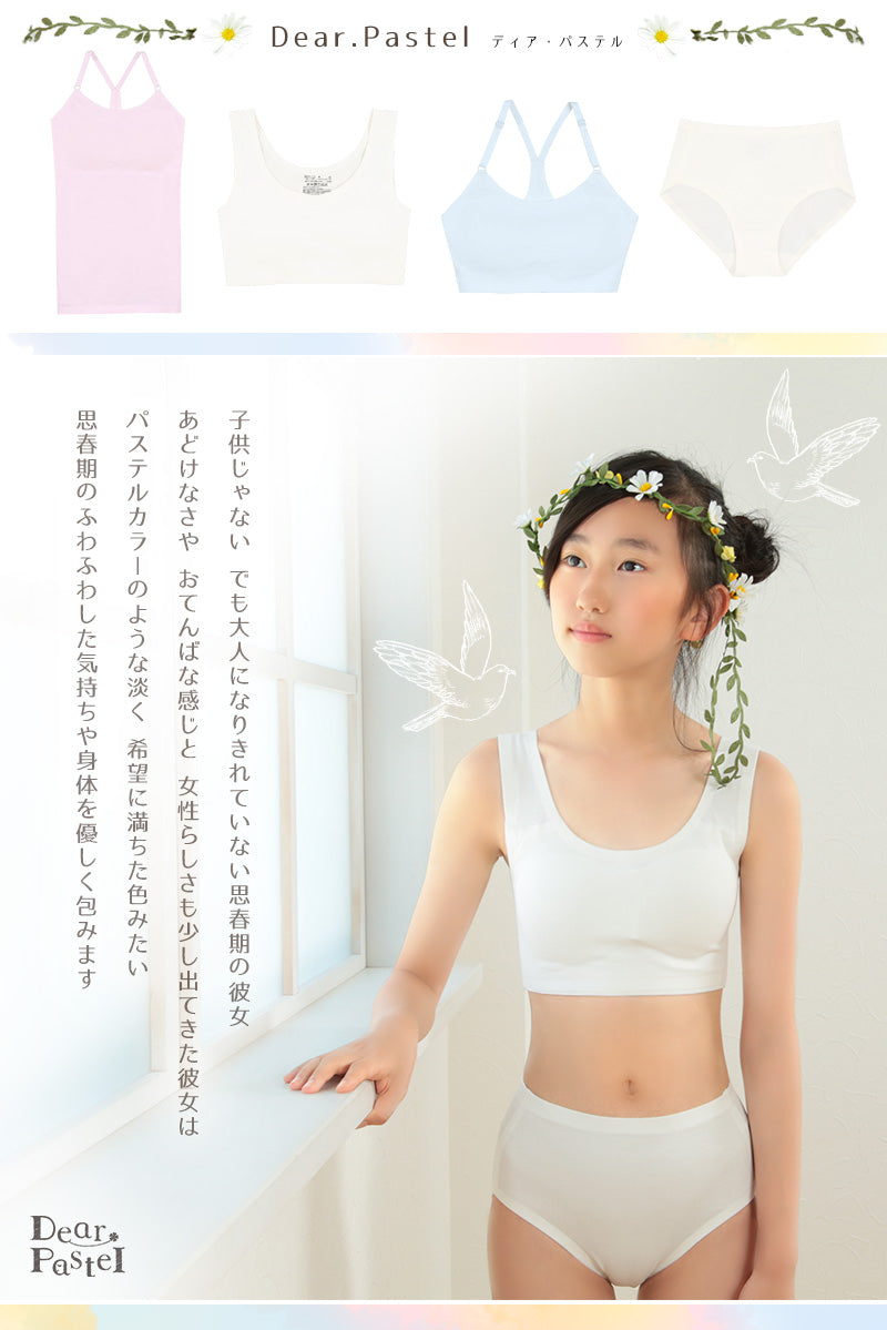 ショーツ シームレス ジュニア 子供 綿 3枚セット 140~160cm (下着 女の子 キッズ インナー パンツ コットン ひびきにくい 無地 女子 小学生 中学生 140 150 160) (送料無料) (在庫限り)